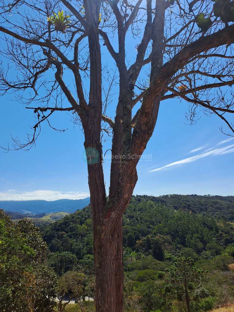 Terreno Rural em Santo Antônio do Pinhal, no bairro Zona Rural
