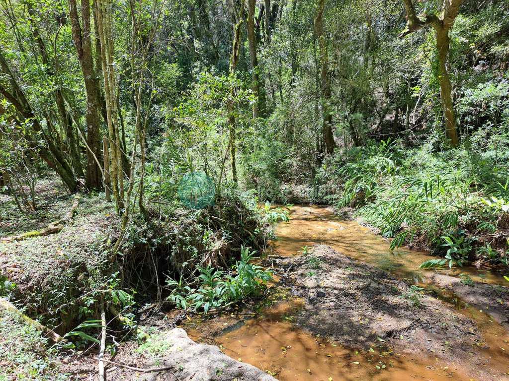 Terreno Rural em Santo Antônio do Pinhal, no bairro Zona Rural