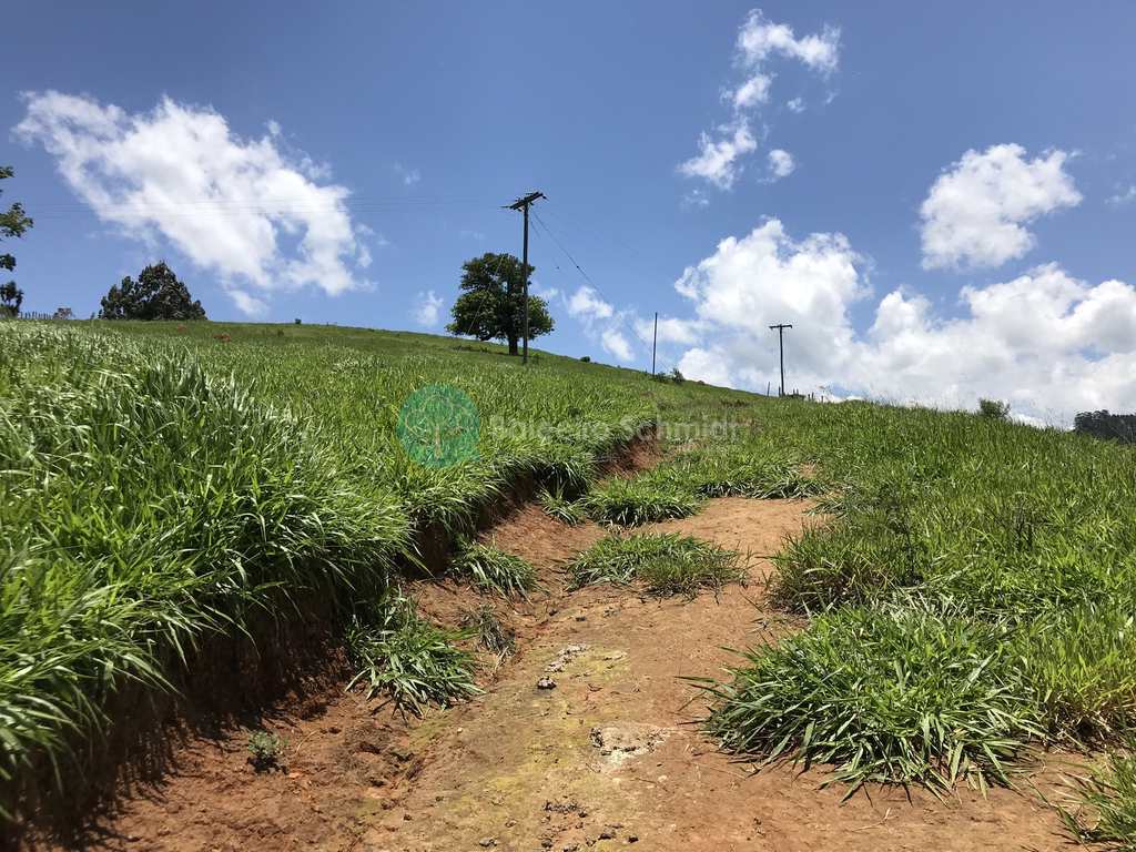 Terreno Rural em Santo Antônio do Pinhal, no bairro Zona Rural