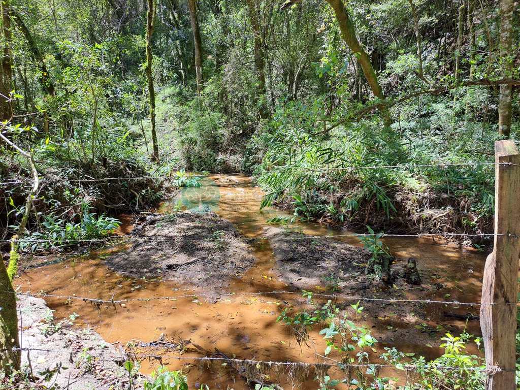 Terreno Rural em Santo Antônio do Pinhal, no bairro Zona Rural