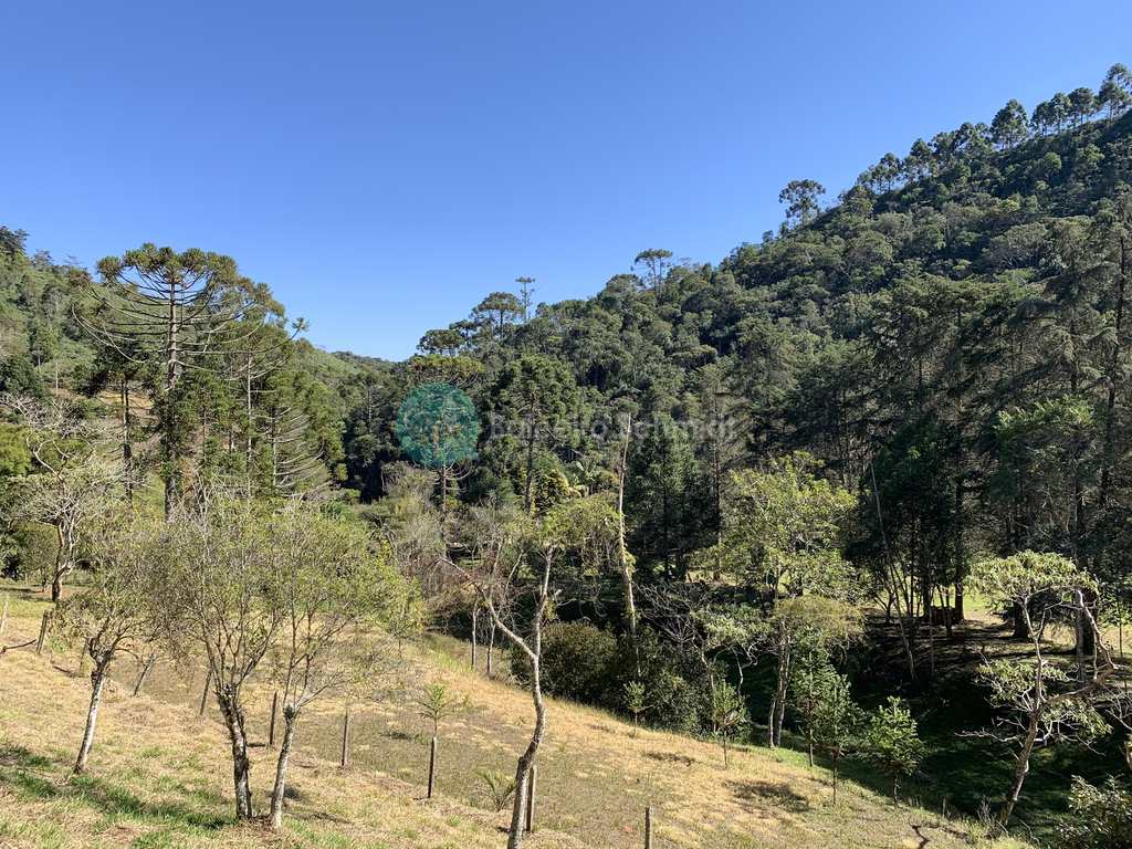 Sítio em Santo Antônio do Pinhal, no bairro Zona Rural