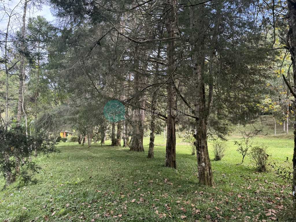 Sítio em Santo Antônio do Pinhal, no bairro Zona Rural