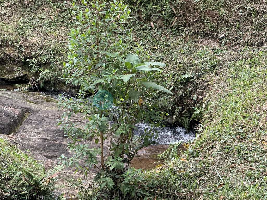 Sítio em Santo Antônio do Pinhal, no bairro Zona Rural