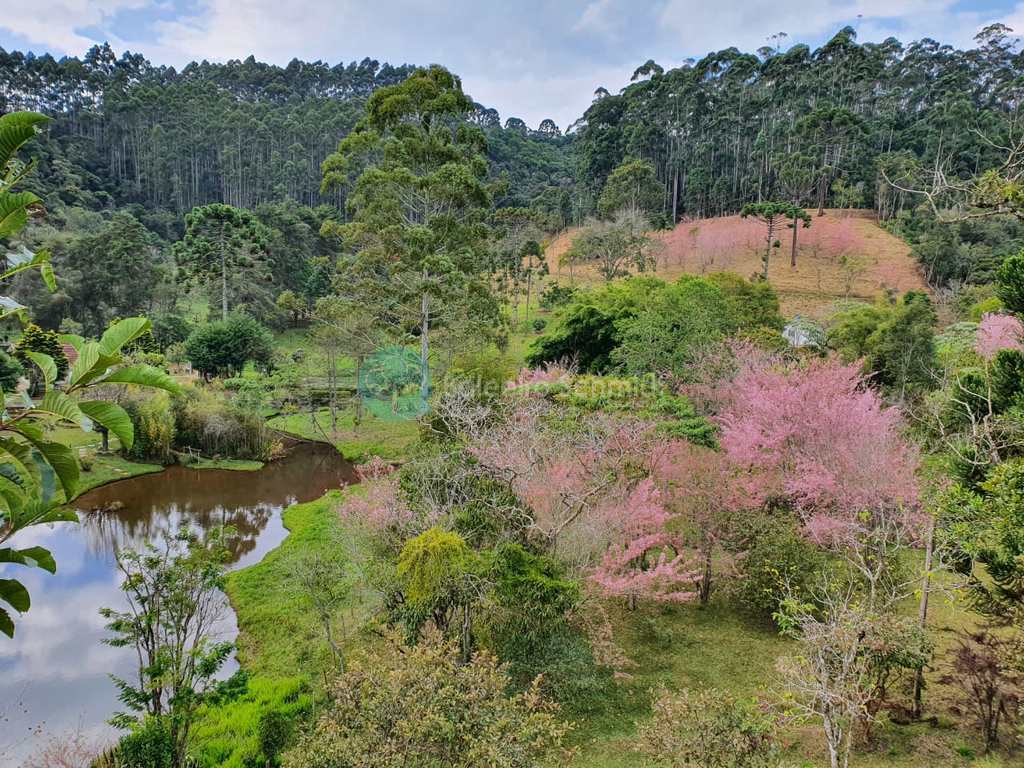 Sítio em Santo Antônio do Pinhal, no bairro Zona Rural