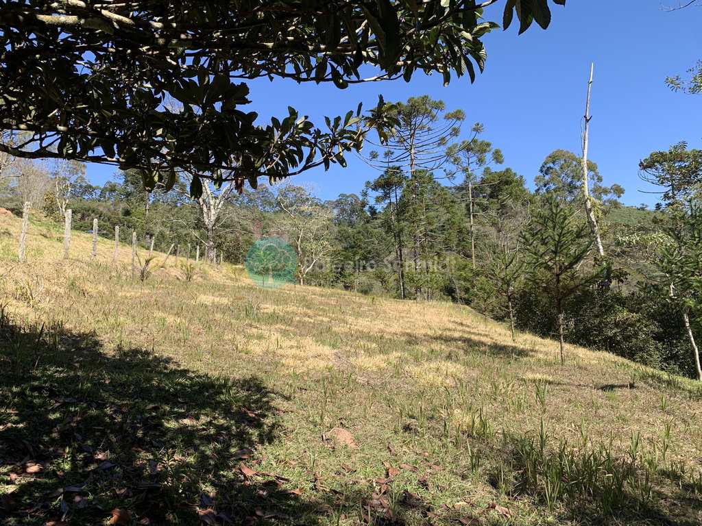 Sítio em Santo Antônio do Pinhal, no bairro Zona Rural