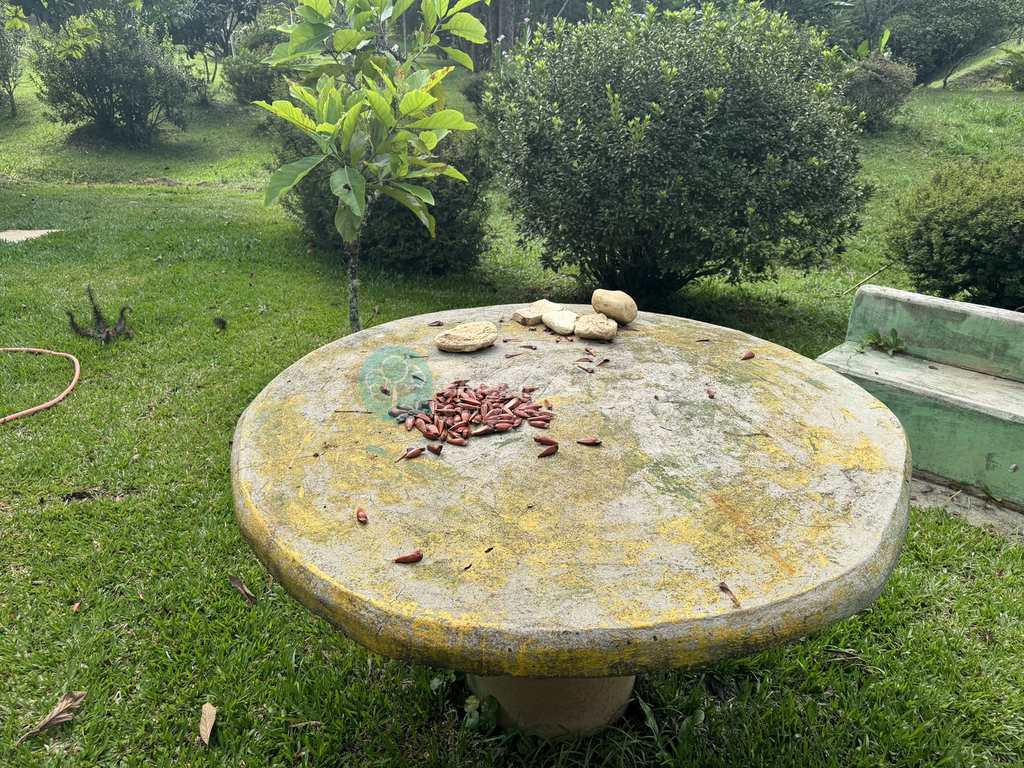Sítio em Santo Antônio do Pinhal, no bairro Zona Rural