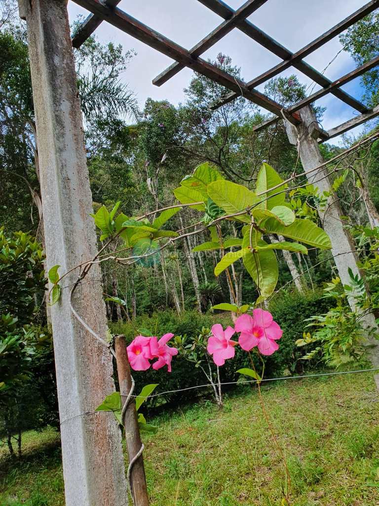 Sítio em Santo Antônio do Pinhal, no bairro Zona Rural
