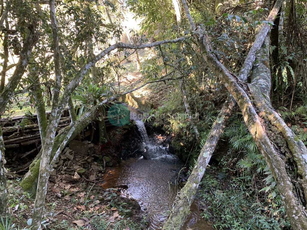 Sítio em Santo Antônio do Pinhal, no bairro Zona Rural