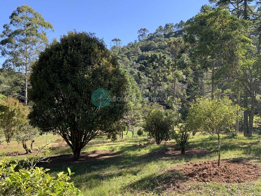Sítio em Santo Antônio do Pinhal, no bairro Zona Rural