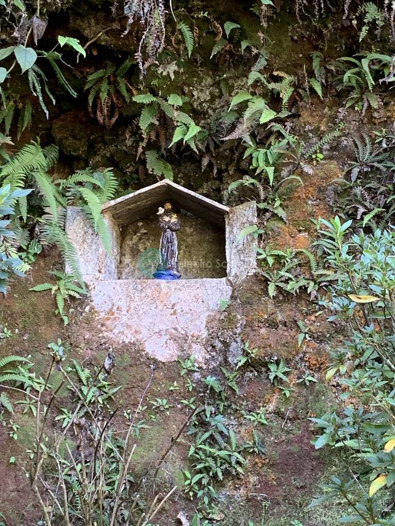 Sítio em Santo Antônio do Pinhal, no bairro Zona Rural