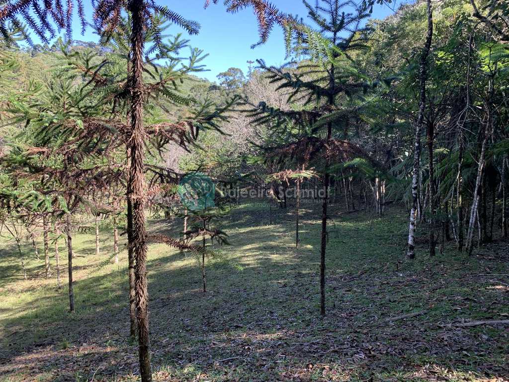 Sítio em Santo Antônio do Pinhal, no bairro Zona Rural