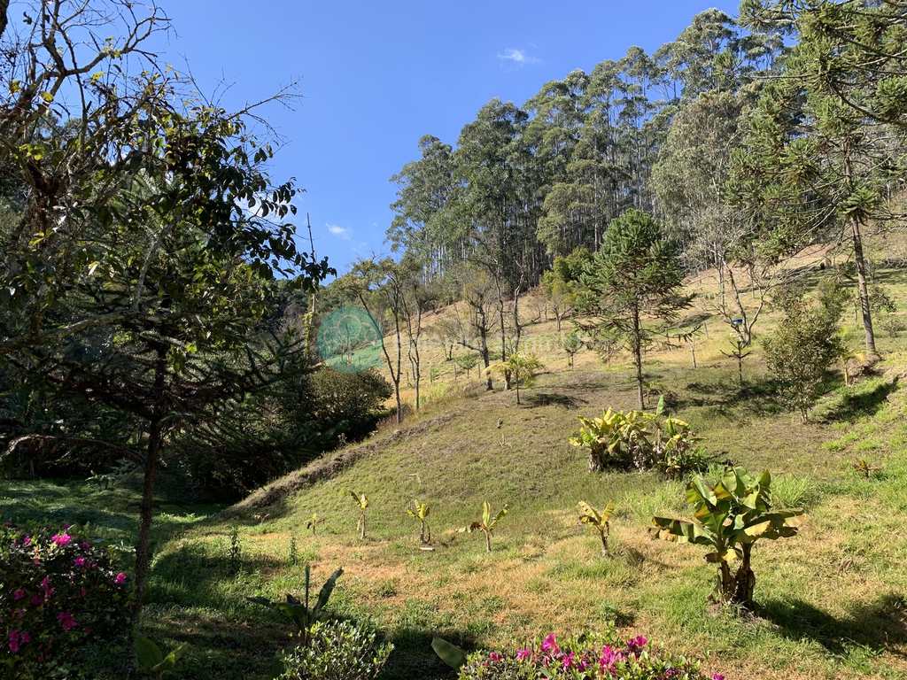 Sítio em Santo Antônio do Pinhal, no bairro Zona Rural