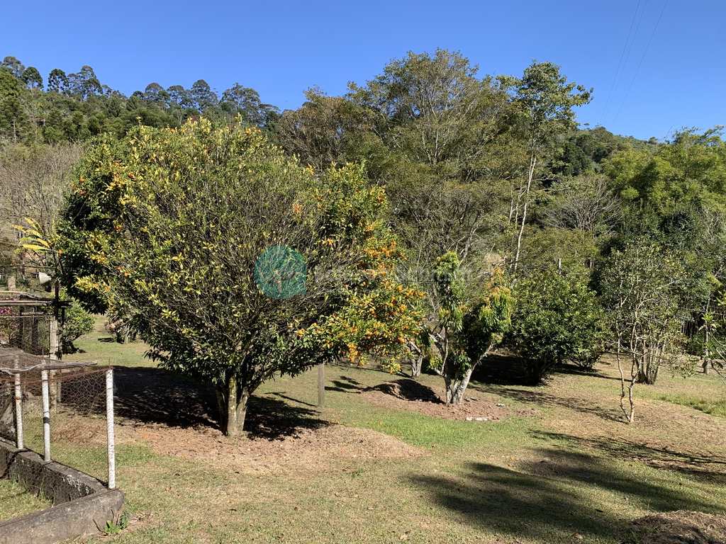Sítio em Santo Antônio do Pinhal, no bairro Zona Rural
