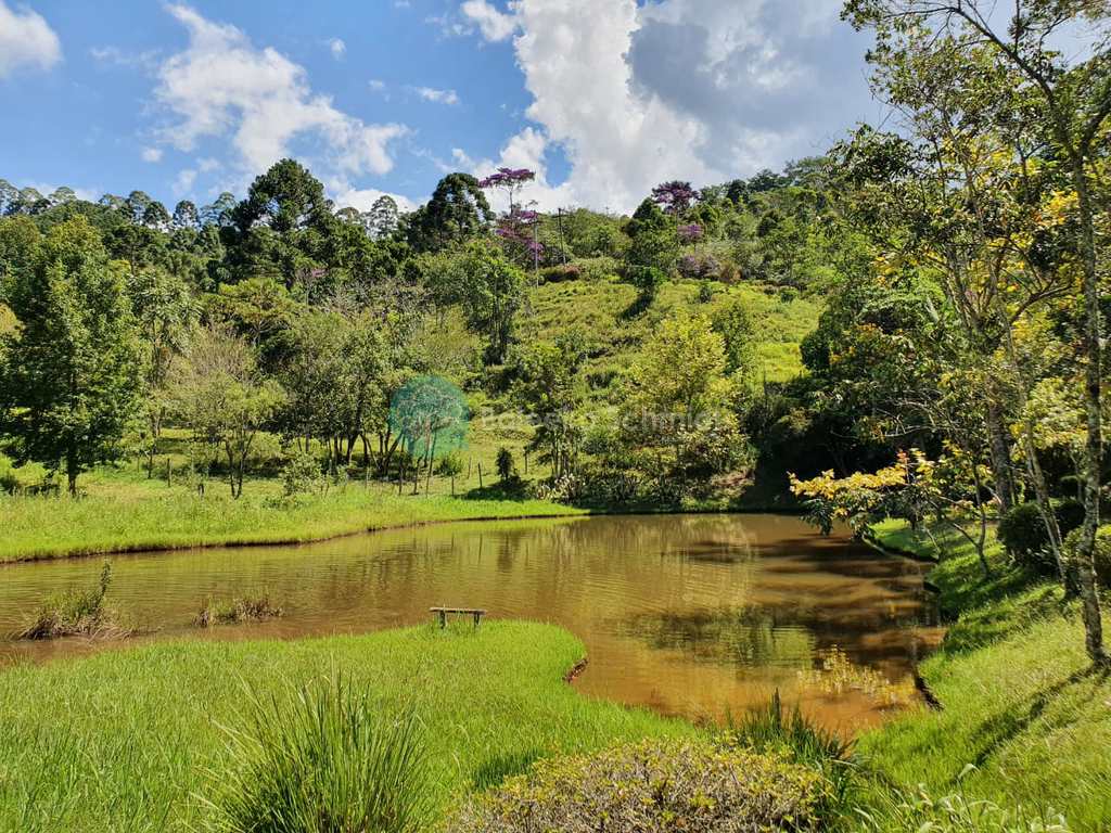 Sítio em Santo Antônio do Pinhal, no bairro Zona Rural