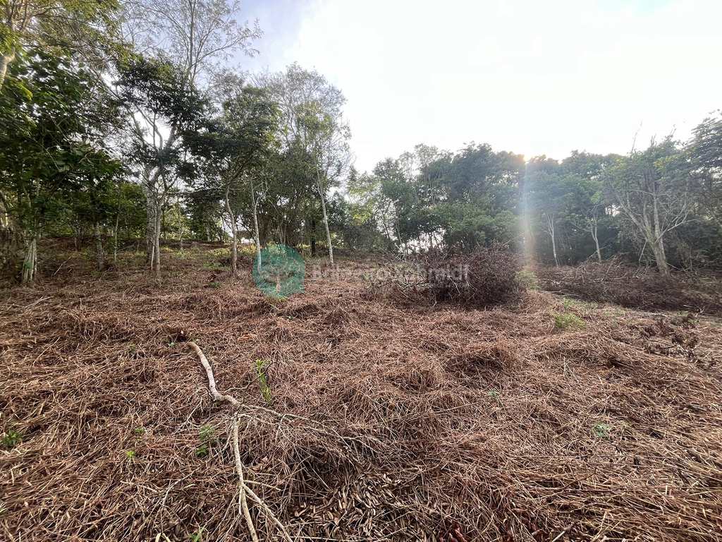 Terreno em Santo Antônio do Pinhal, no bairro Pinhalzinho
