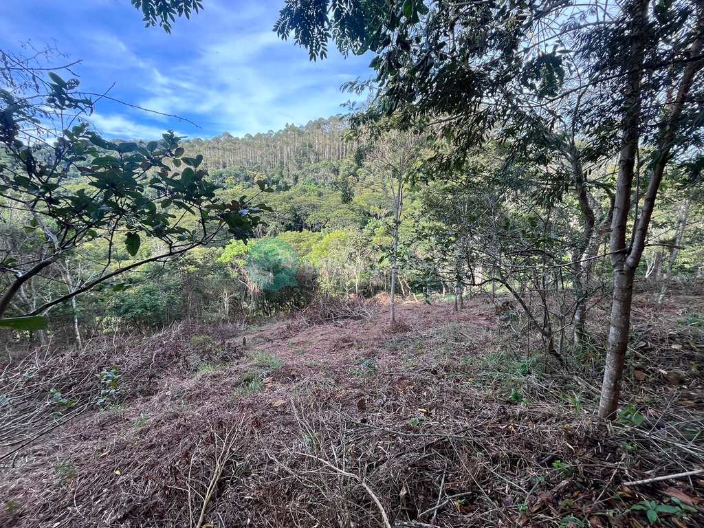 Terreno em Santo Antônio do Pinhal, no bairro Pinhalzinho