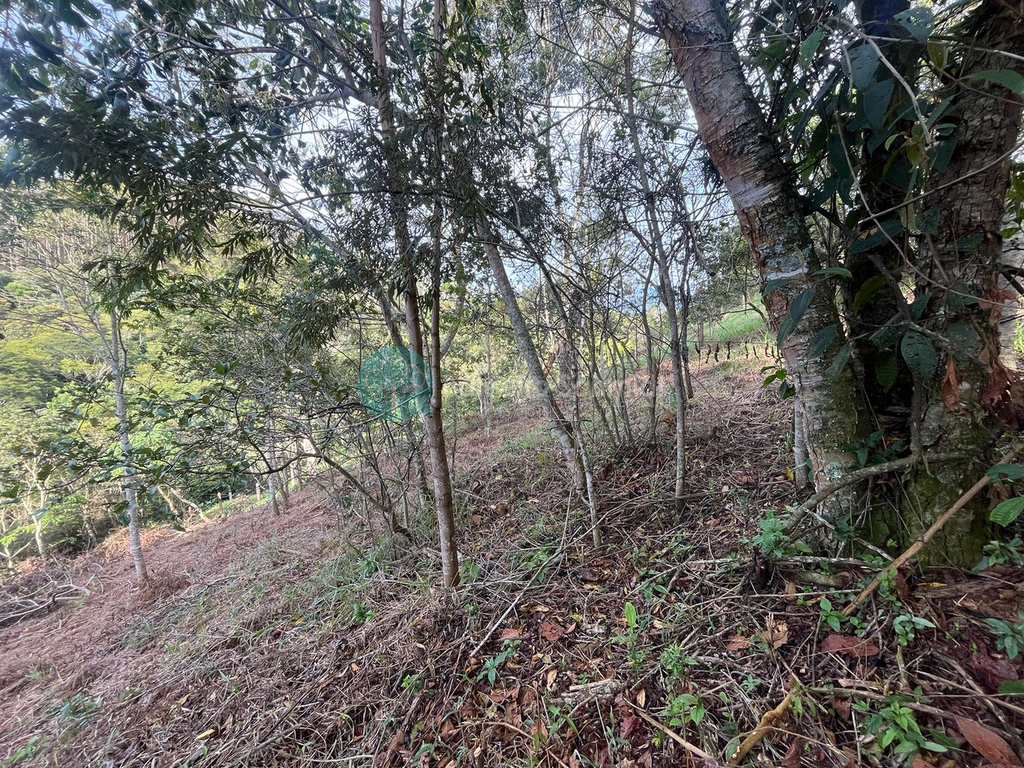 Terreno em Santo Antônio do Pinhal, no bairro Pinhalzinho