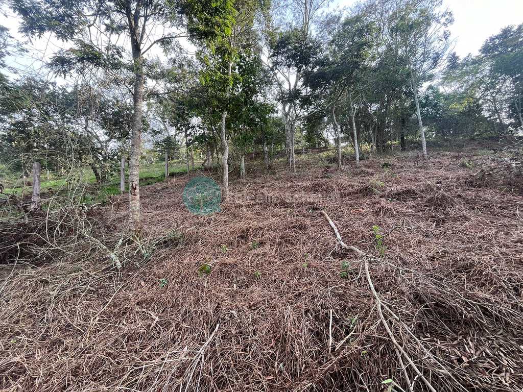 Terreno em Santo Antônio do Pinhal, no bairro Pinhalzinho