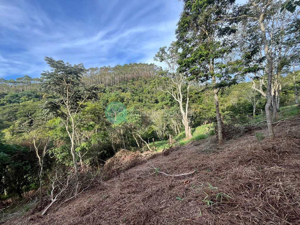 Terreno em Santo Antônio do Pinhal, no bairro Pinhalzinho
