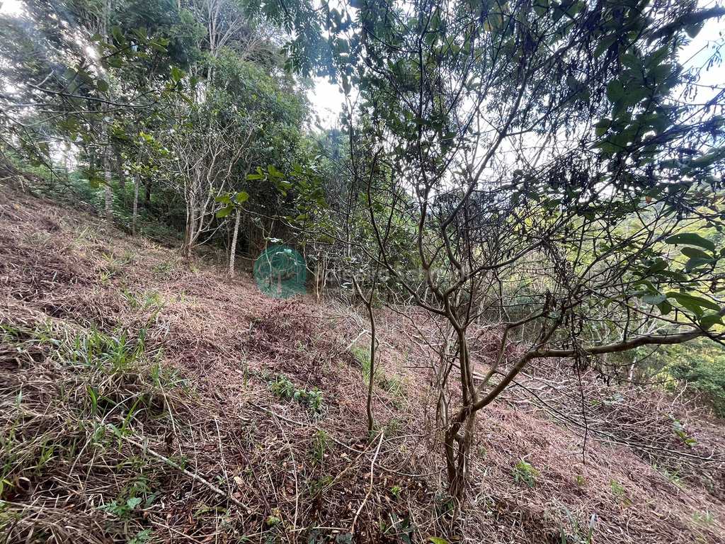 Terreno em Santo Antônio do Pinhal, no bairro Pinhalzinho