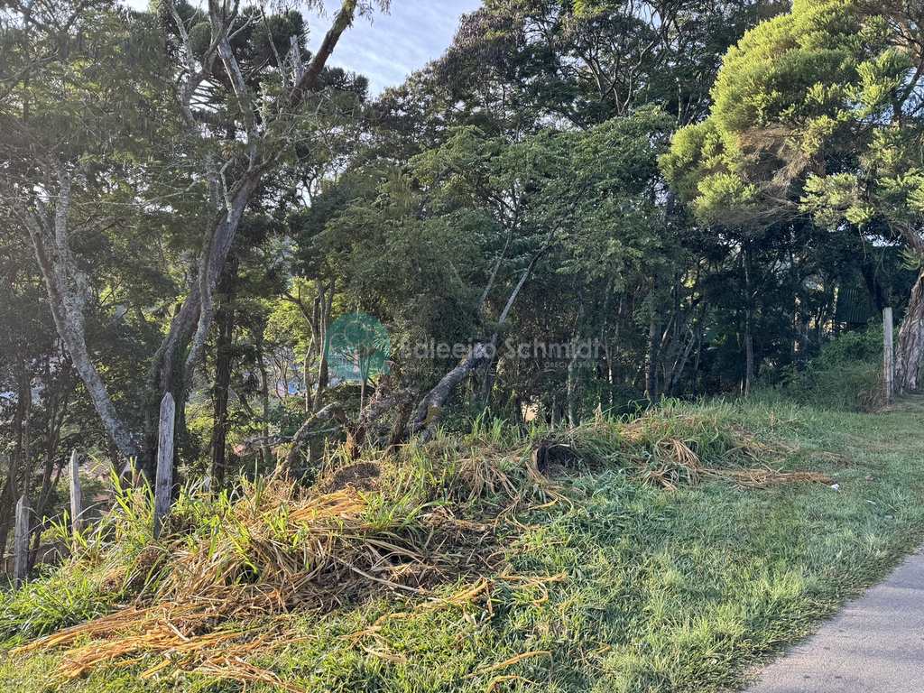 Terreno em Santo Antônio do Pinhal, no bairro Centro