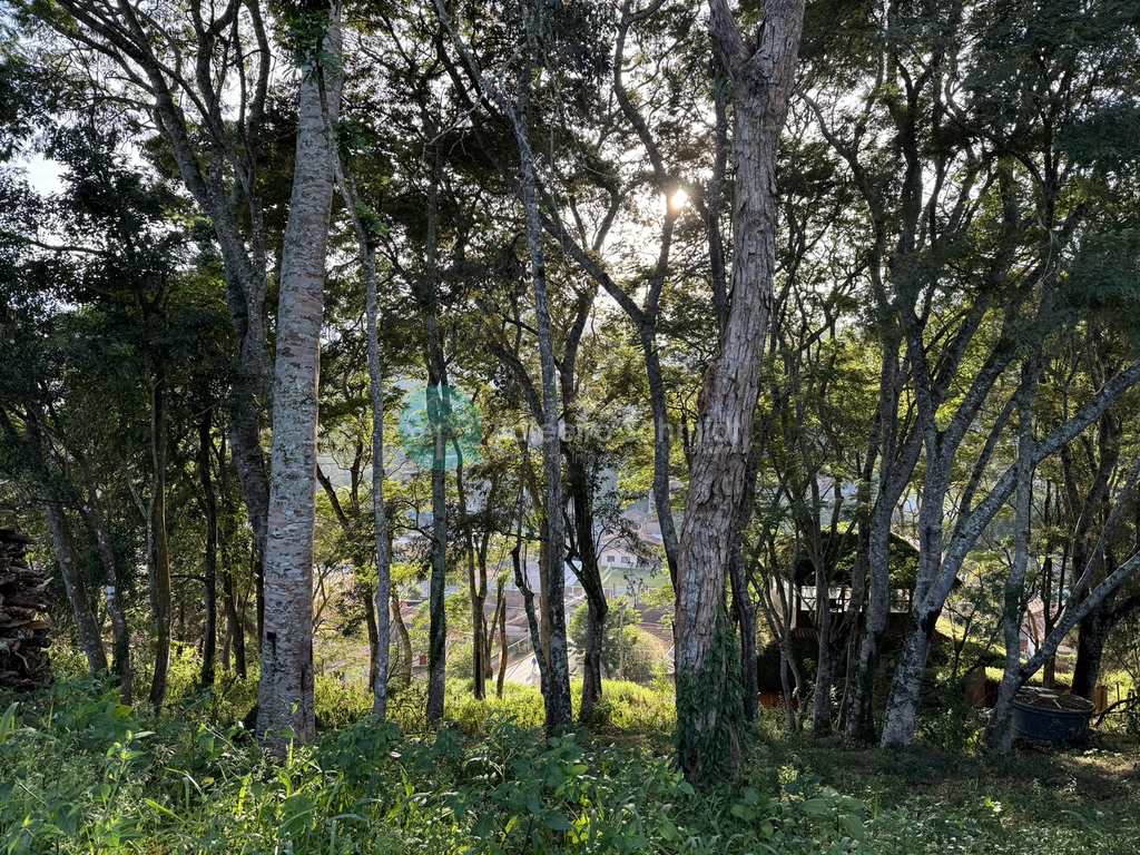 Terreno em Santo Antônio do Pinhal, no bairro Centro