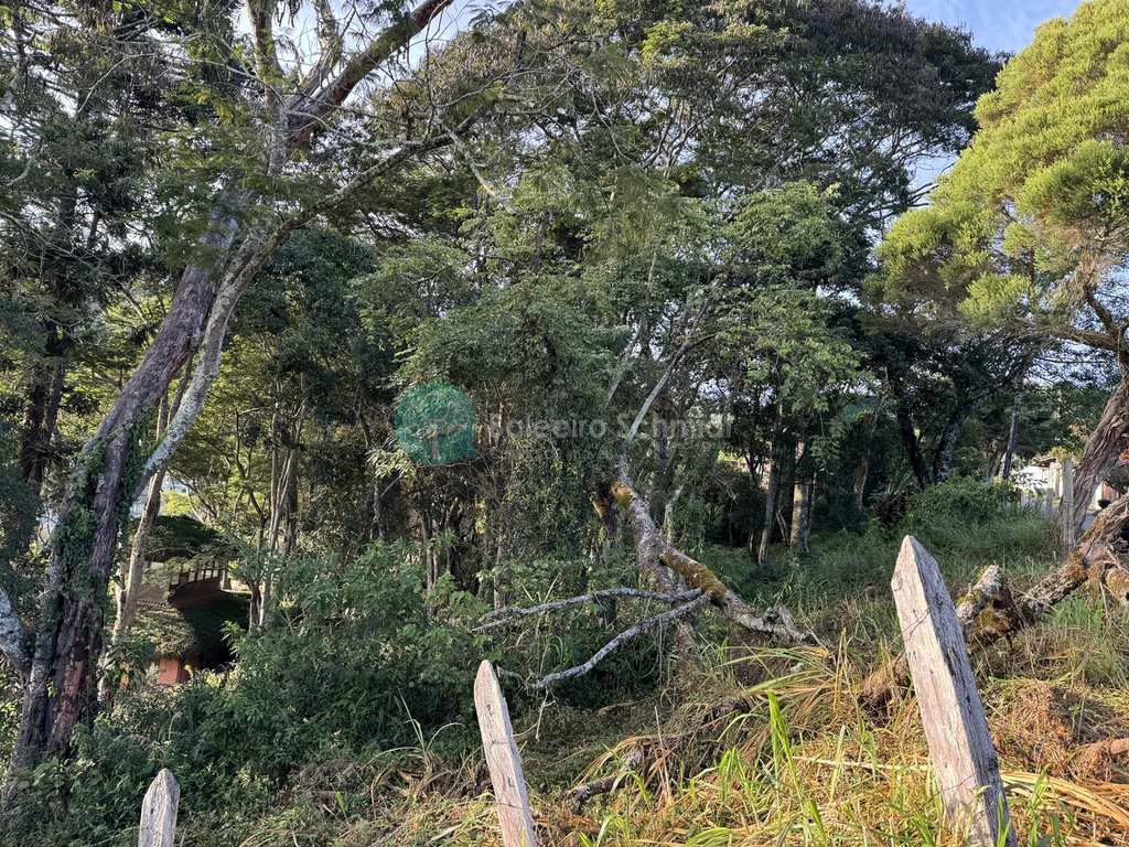 Terreno em Santo Antônio do Pinhal, no bairro Centro