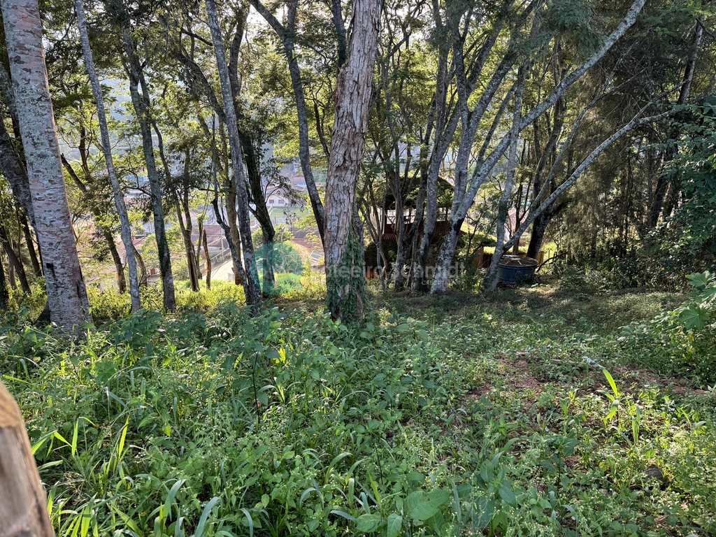 Terreno em Santo Antônio do Pinhal, no bairro Centro