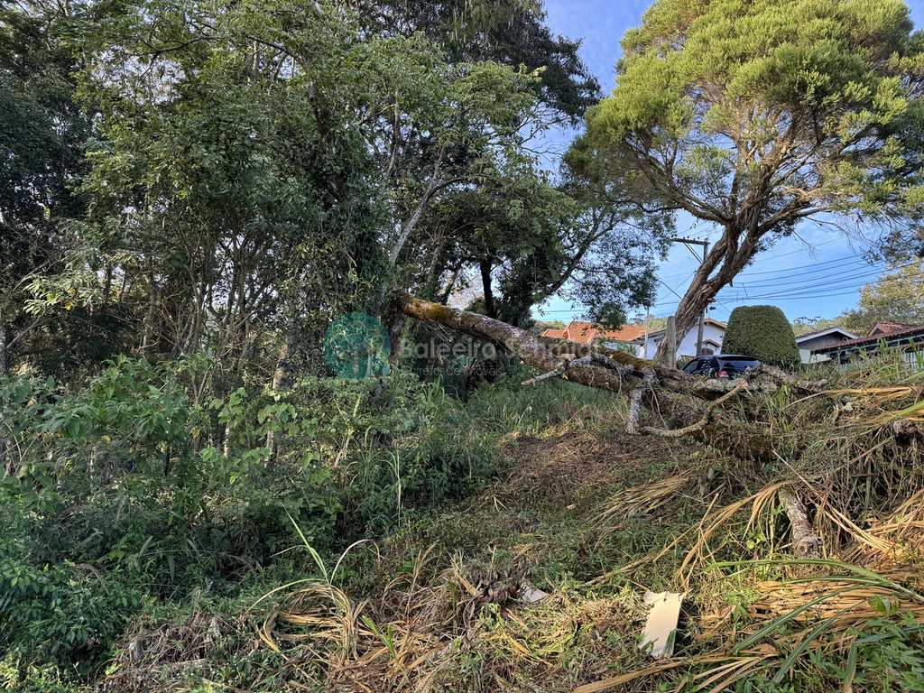 Terreno em Santo Antônio do Pinhal, no bairro Centro