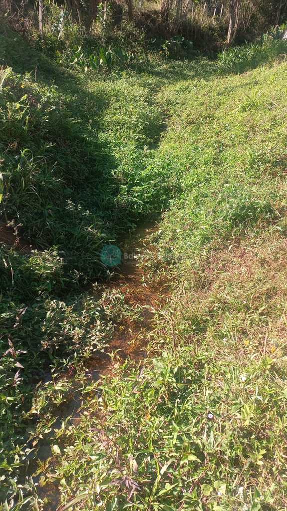 Sítio em Santo Antônio do Pinhal, no bairro 7 Km do Centro