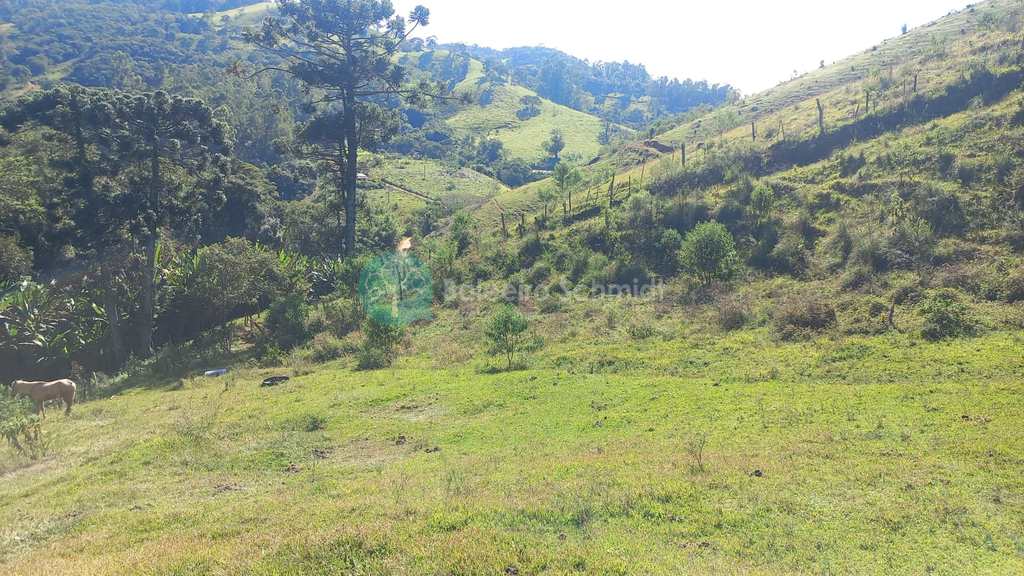 Sítio em Santo Antônio do Pinhal, no bairro 7 Km do Centro