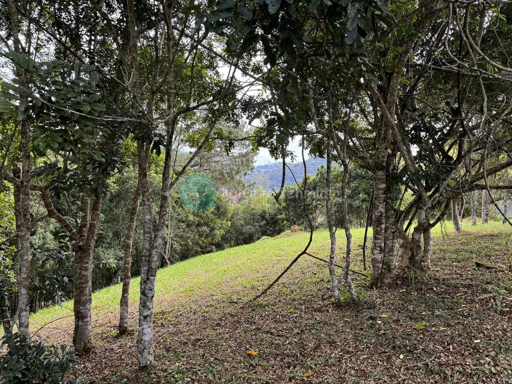 Terreno em Santo Antônio do Pinhal, no bairro Centro