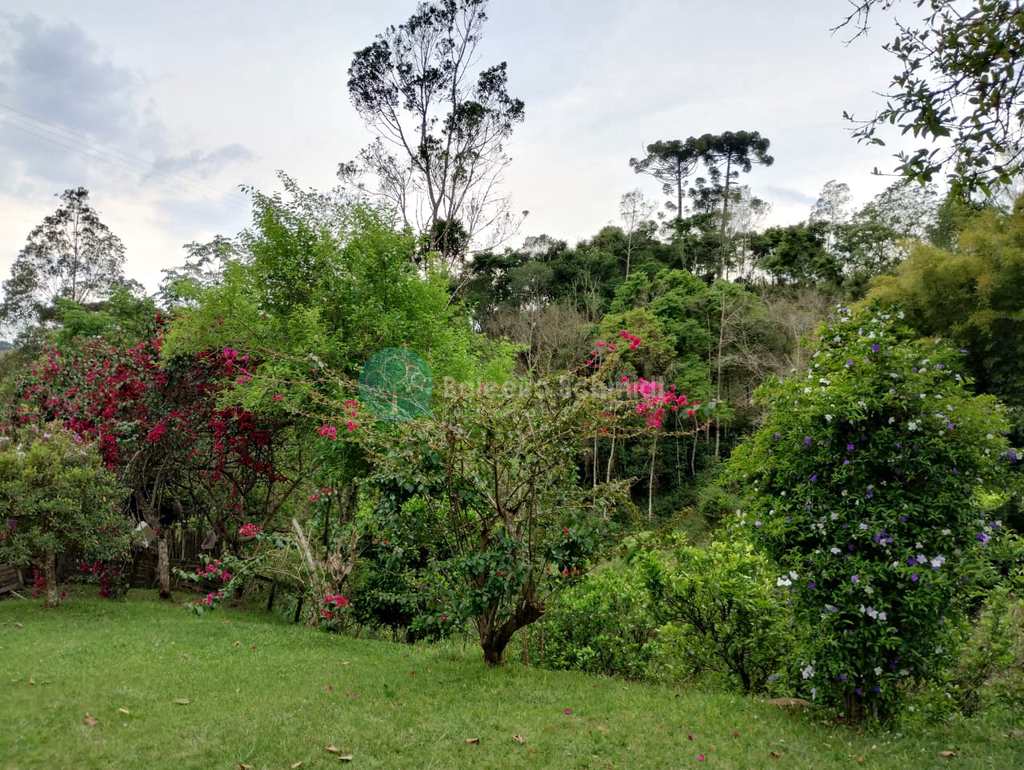 Sítio em Santo Antônio do Pinhal, no bairro Zona Rural