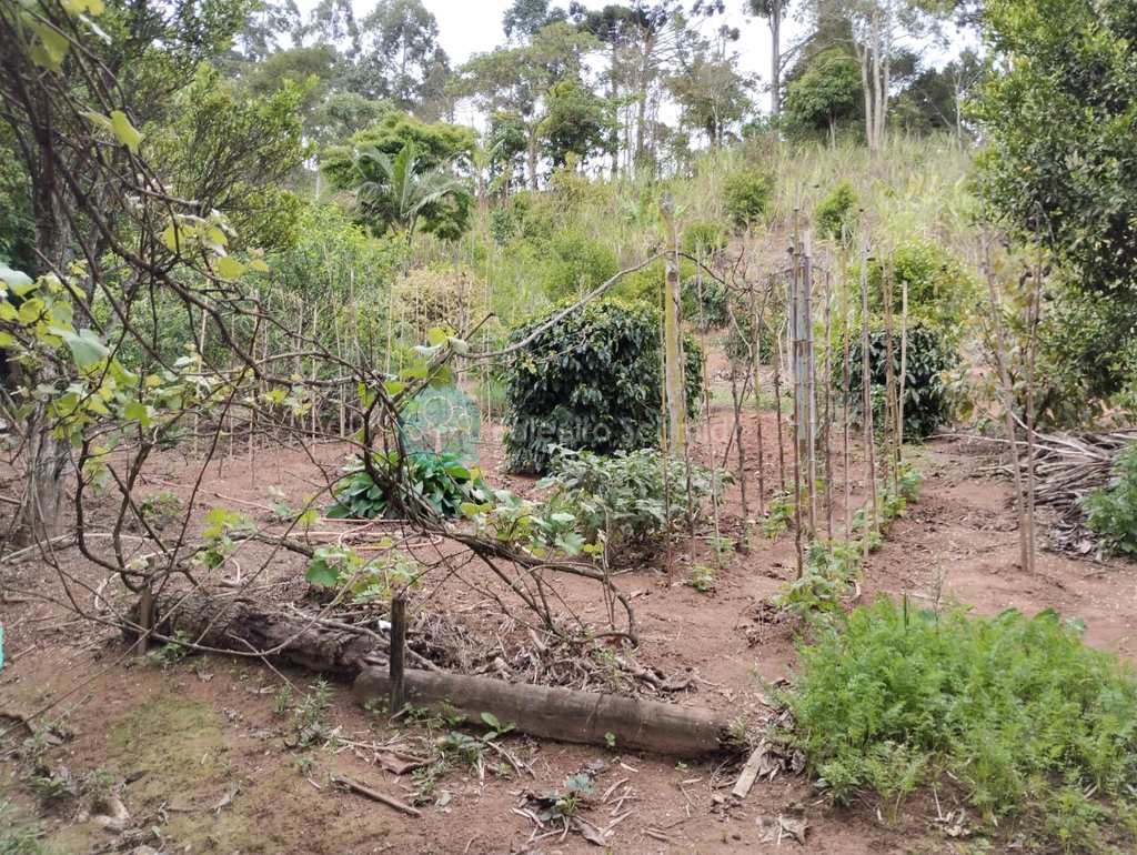 Sítio em Santo Antônio do Pinhal, no bairro Zona Rural