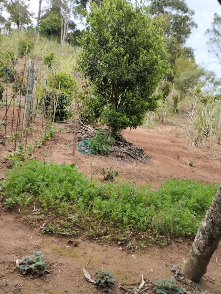 Sítio em Santo Antônio do Pinhal, no bairro Zona Rural