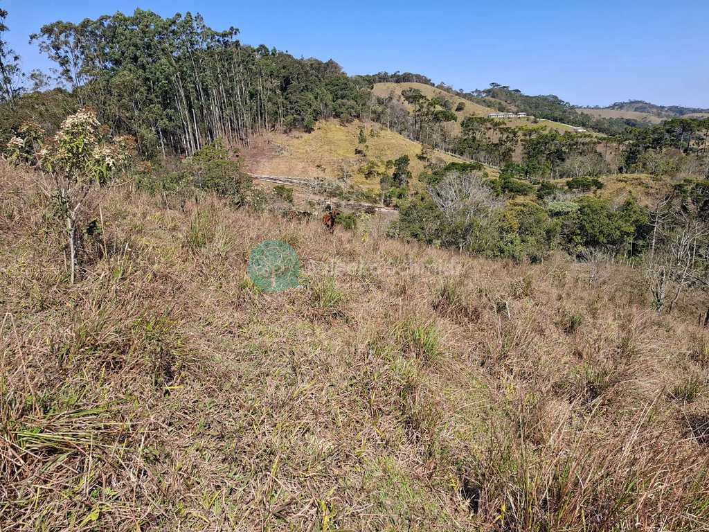 Terreno Rural em Santo Antônio do Pinhal, no bairro Zona Rural
