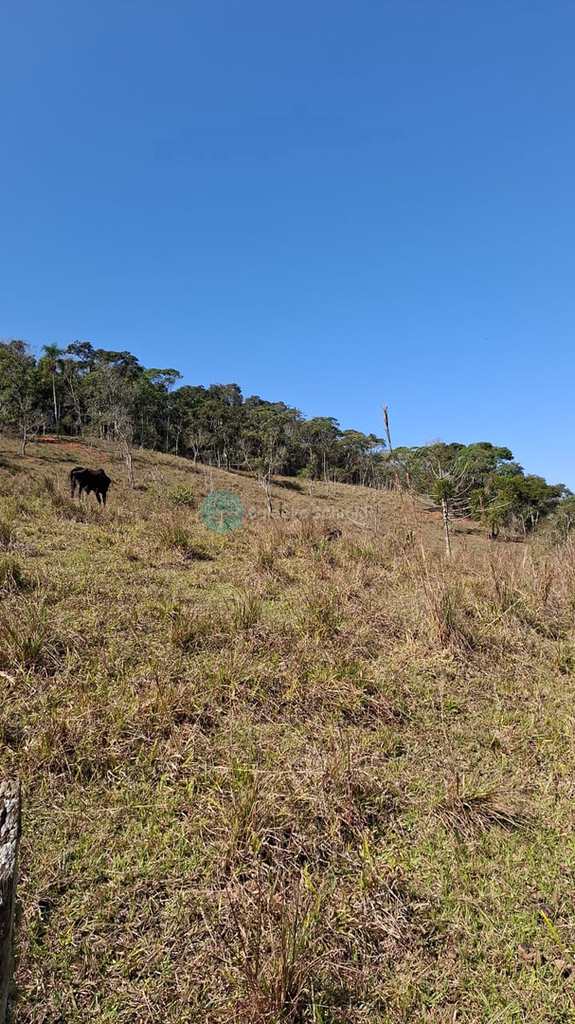 Terreno Rural em Santo Antônio do Pinhal, no bairro Zona Rural