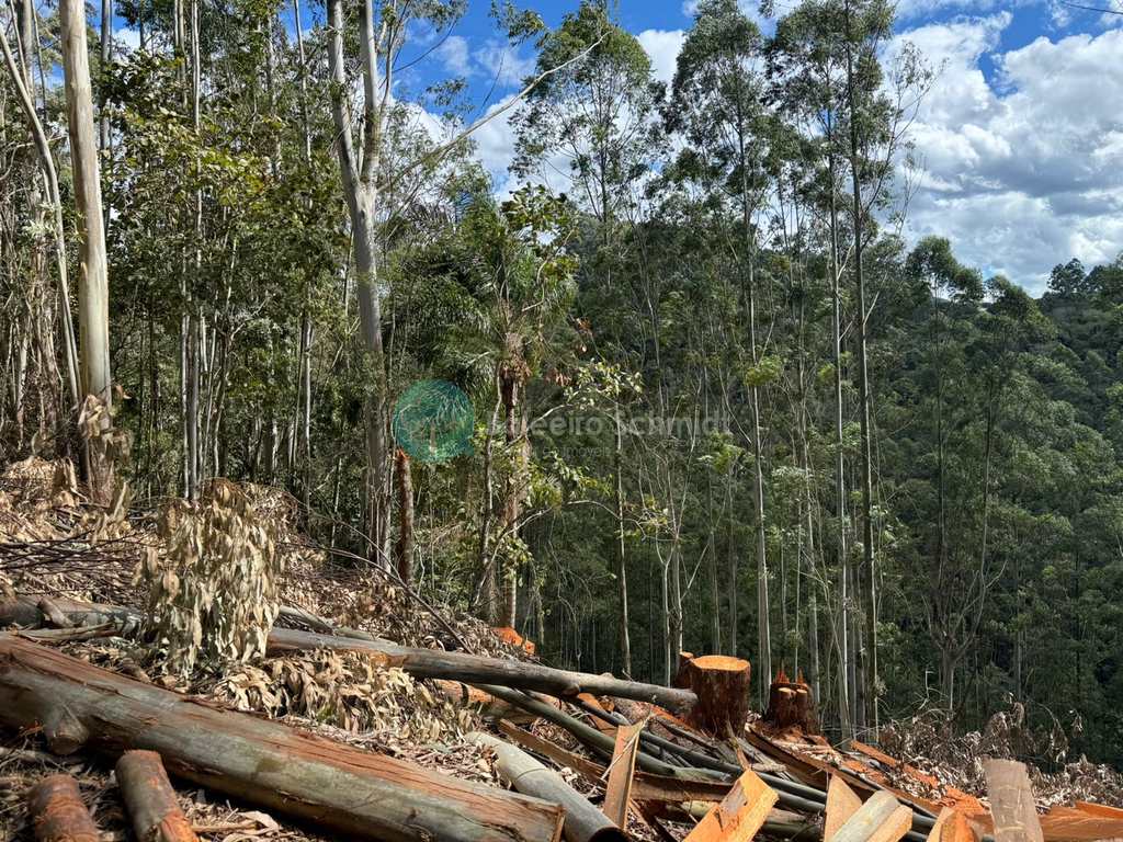 Terreno de Condomínio em Santo Antônio do Pinhal, no bairro Condomínio Parque da Mantiqueira