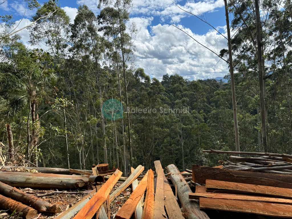 Terreno de Condomínio em Santo Antônio do Pinhal, no bairro Condomínio Parque da Mantiqueira