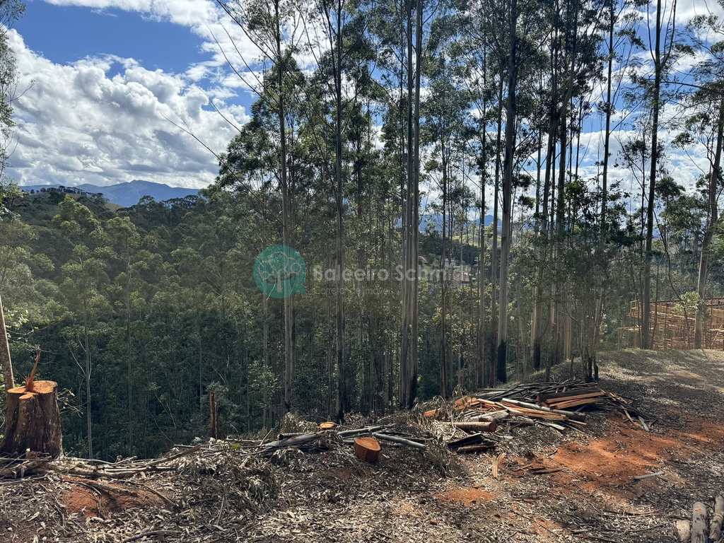 Terreno de Condomínio em Santo Antônio do Pinhal, no bairro Condomínio Parque da Mantiqueira