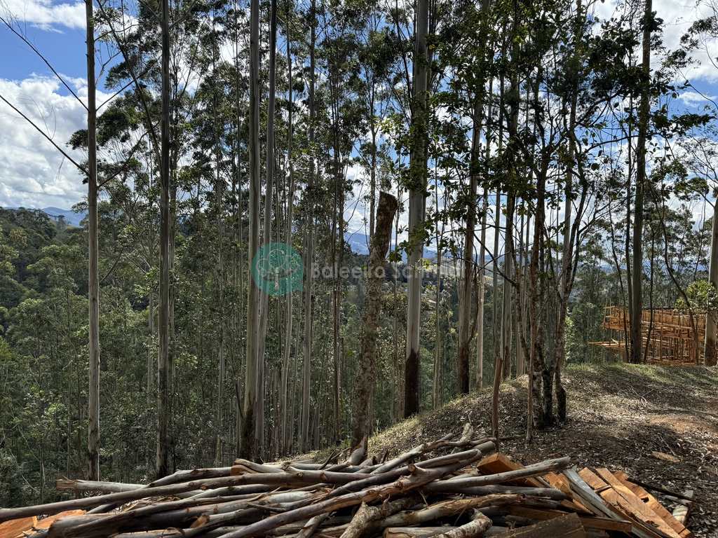 Terreno de Condomínio em Santo Antônio do Pinhal, no bairro Condomínio Parque da Mantiqueira
