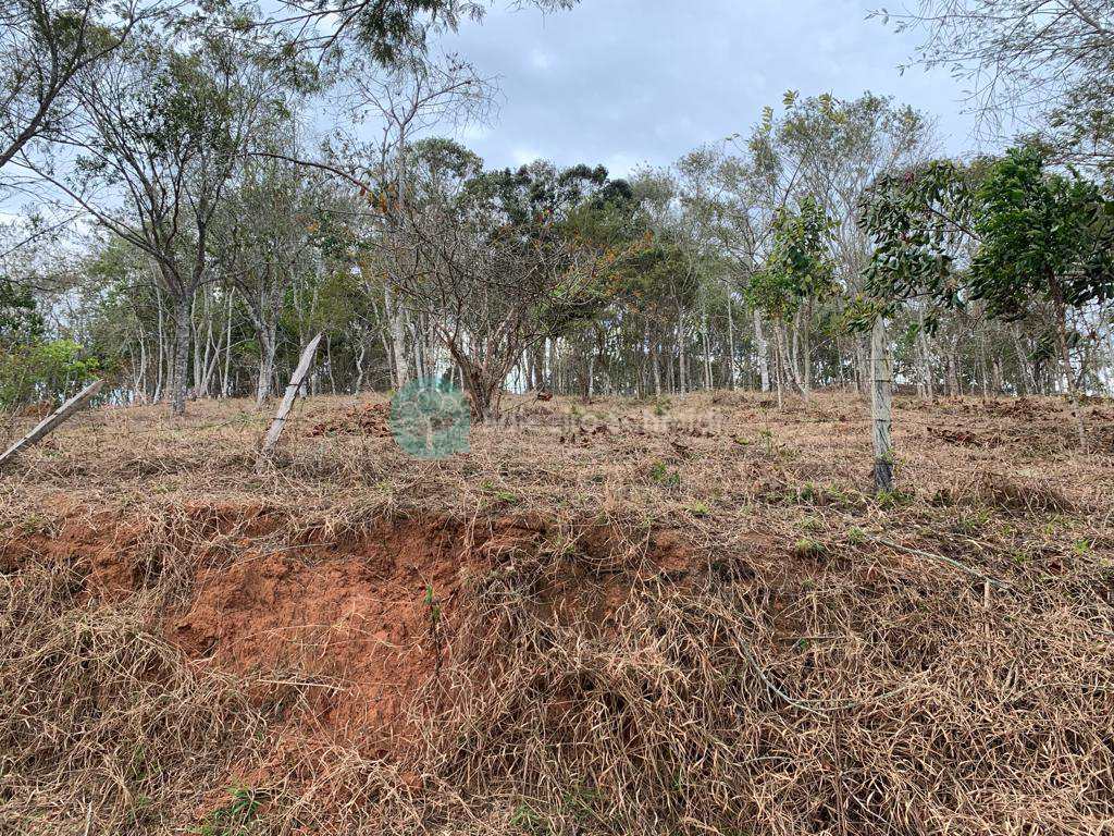 Terreno em Santo Antônio do Pinhal, no bairro Proximo Ao Centro
