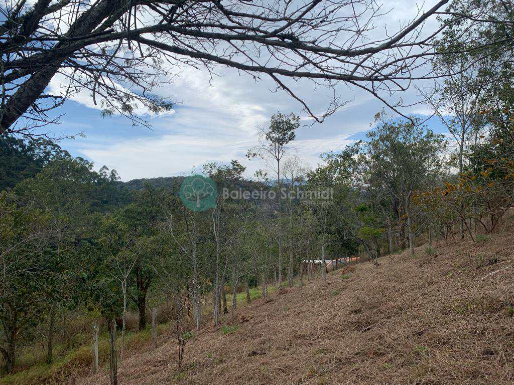 Terreno em Santo Antônio do Pinhal, no bairro Proximo Ao Centro
