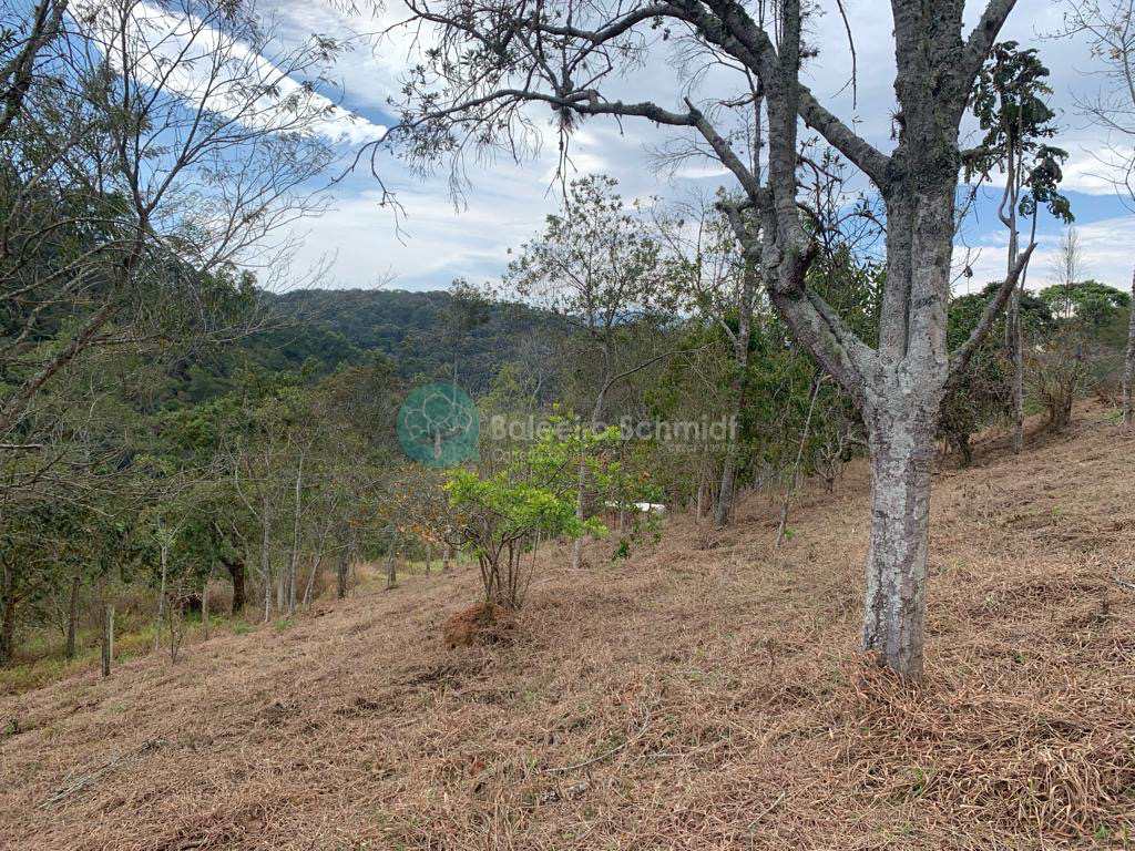 Terreno em Santo Antônio do Pinhal, no bairro Proximo Ao Centro
