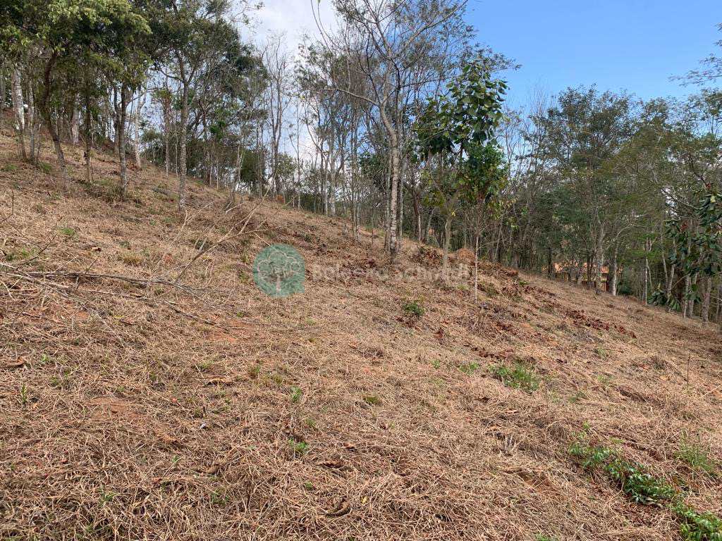 Terreno em Santo Antônio do Pinhal, no bairro Proximo Ao Centro