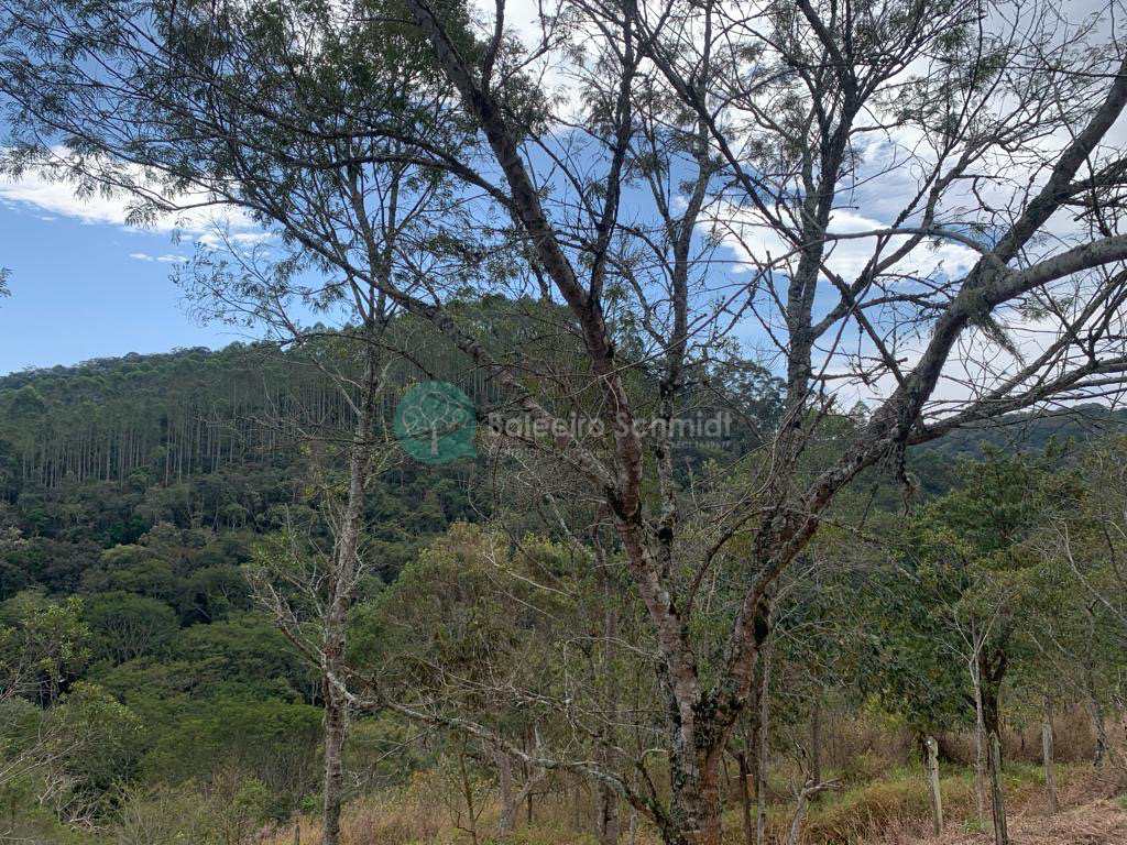 Terreno em Santo Antônio do Pinhal, no bairro Proximo Ao Centro