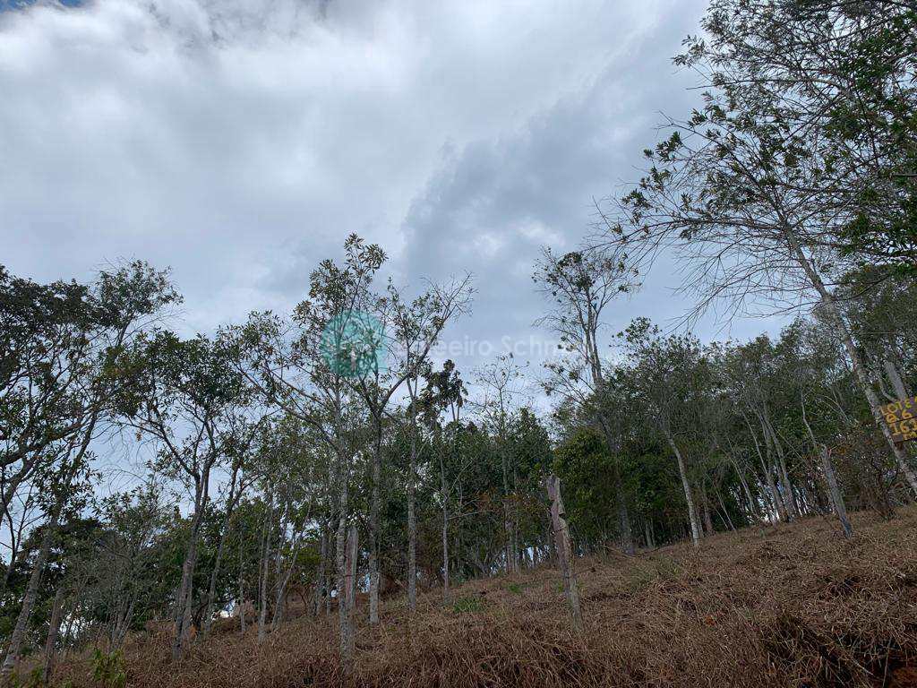 Terreno em Santo Antônio do Pinhal, no bairro Proximo Ao Centro