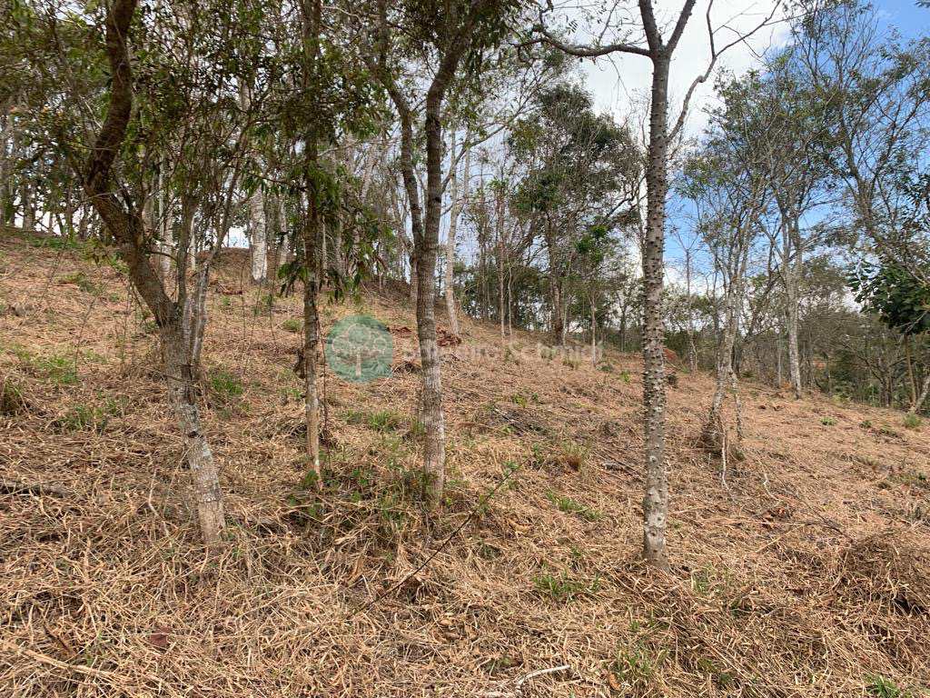 Terreno em Santo Antônio do Pinhal, no bairro Proximo Ao Centro