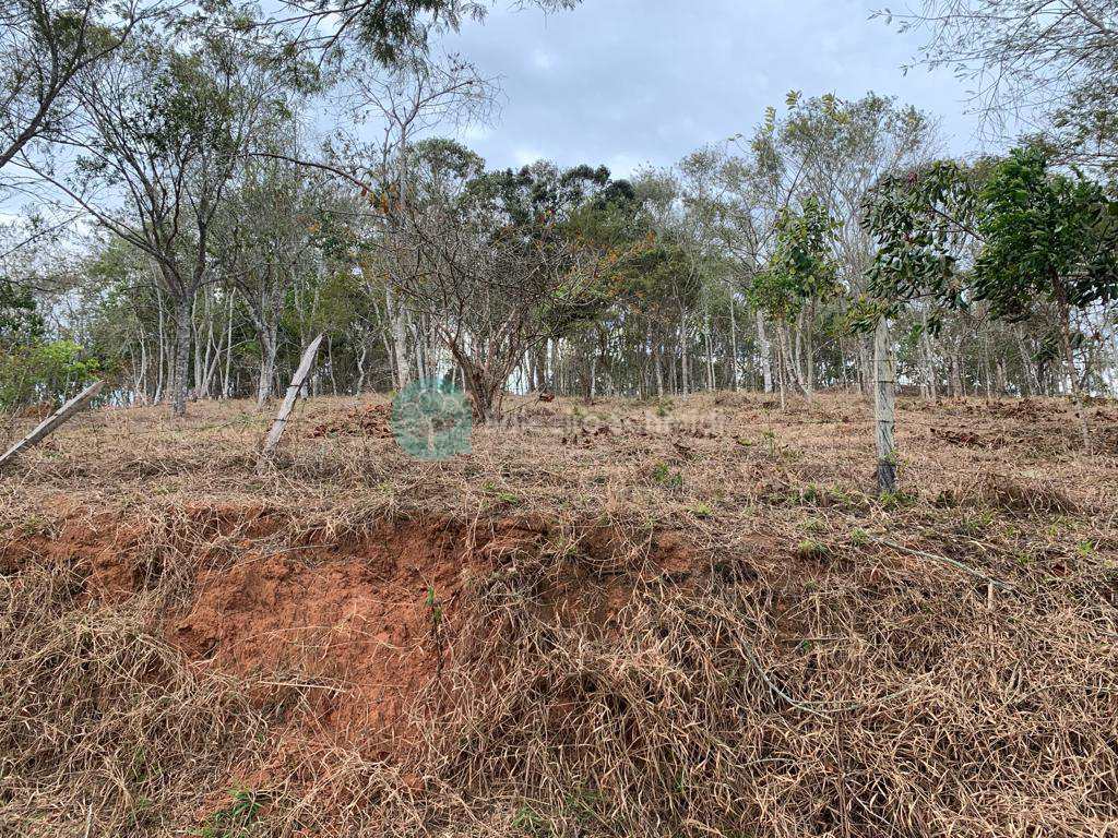 Terreno em Santo Antônio do Pinhal, no bairro Proximo Ao Centro