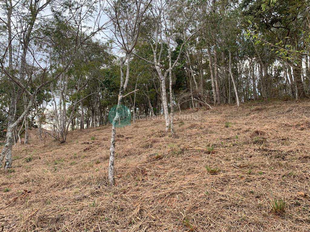 Terreno em Santo Antônio do Pinhal, no bairro Proximo Ao Centro